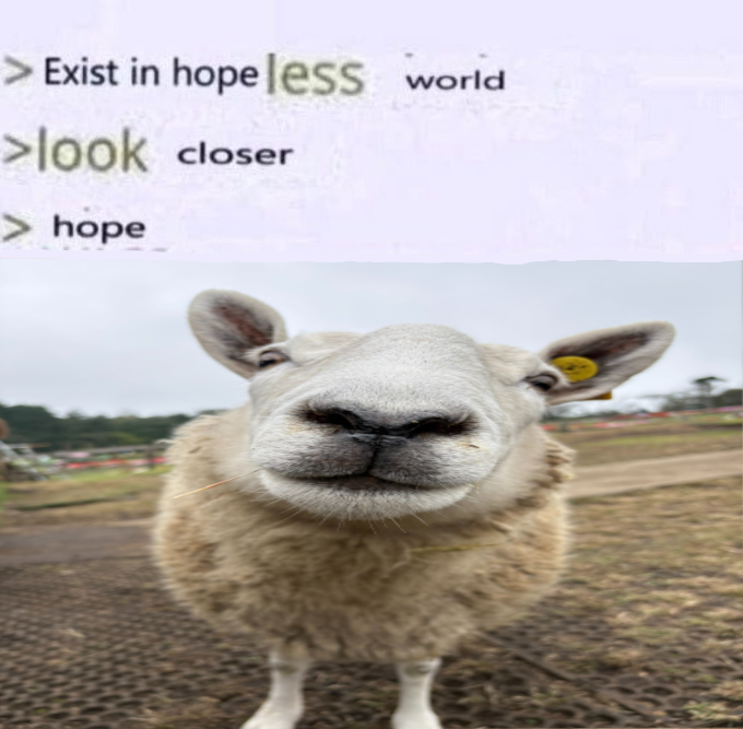 Bolvar🐑 tweet media