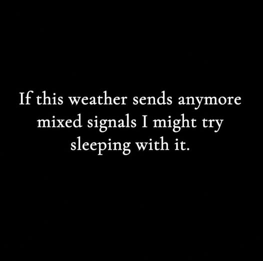 💞Trina LaGüerita tweet media