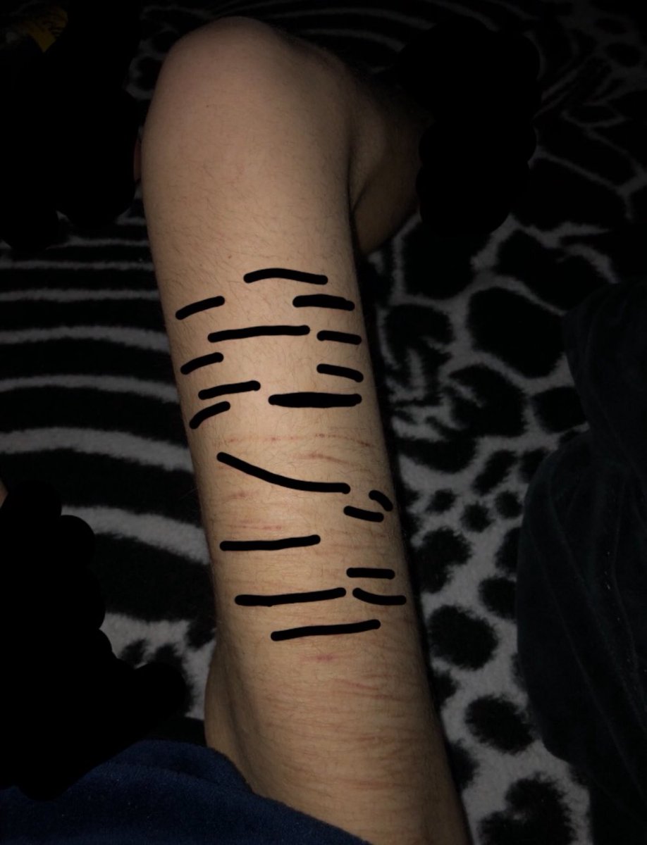 Juno 🍎 tweet media