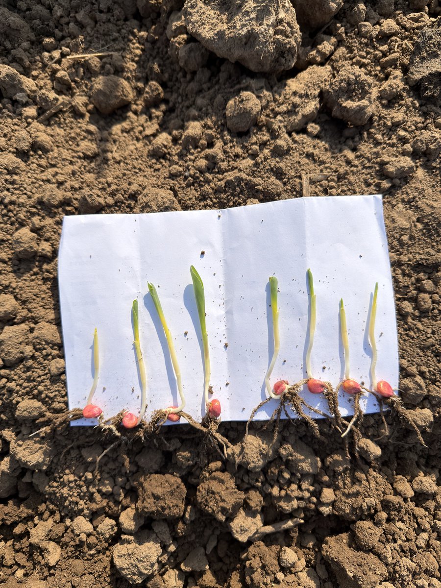 Cal Ag Solutions tweet media