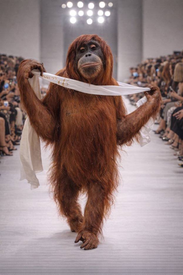 Flash.69 tweet media