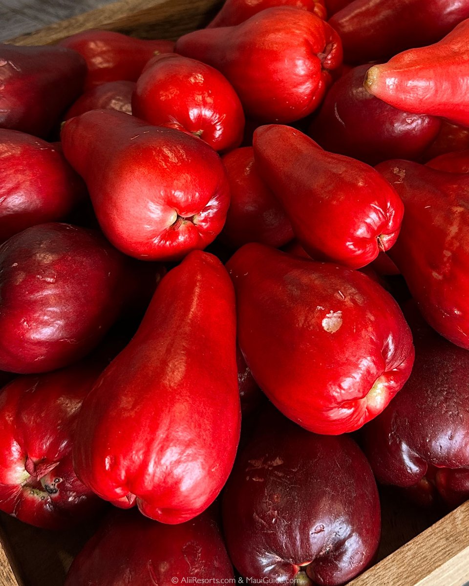 Alii Resorts tweet media