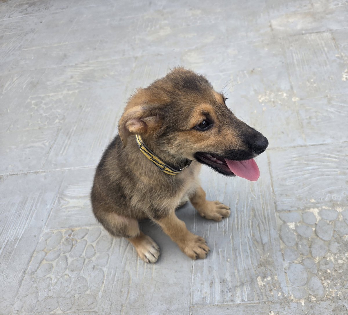 JayPee👑 tweet media