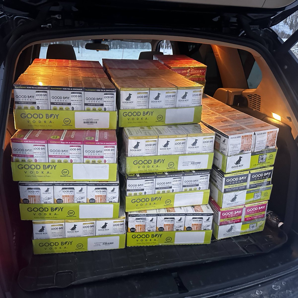 Good Boy Vodka tweet media