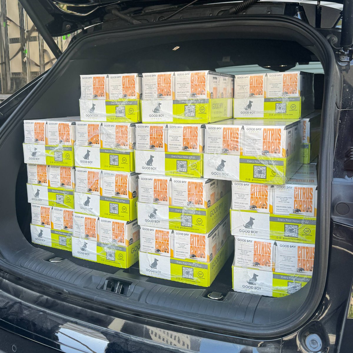 Good Boy Vodka tweet media