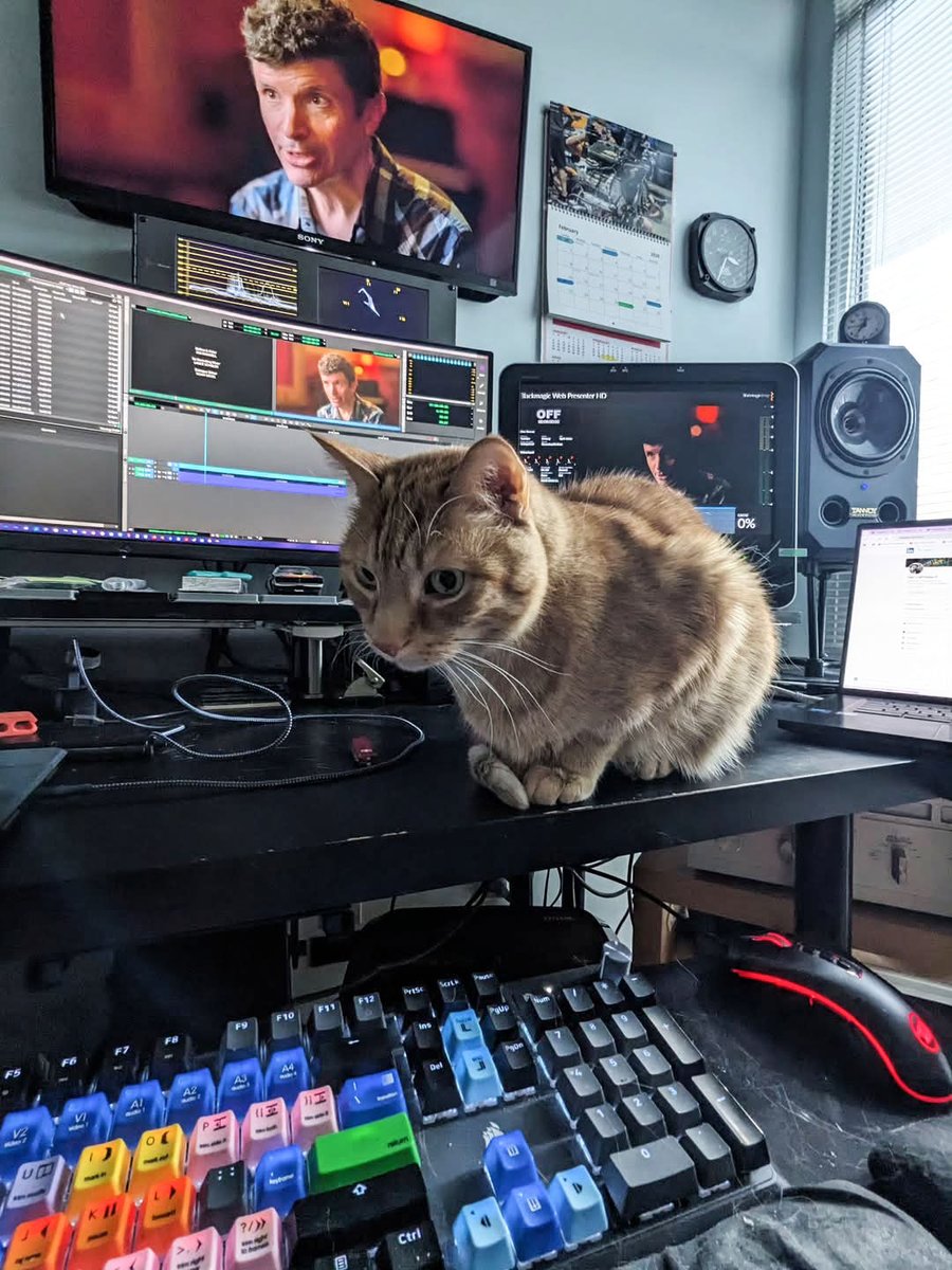 Avid Media Composer tweet media