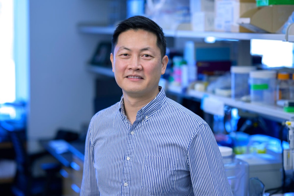 Memorial Sloan Kettering Cancer Center tweet media