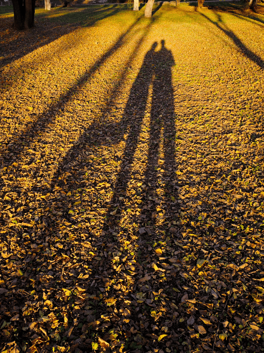 Tina Pearson tweet media