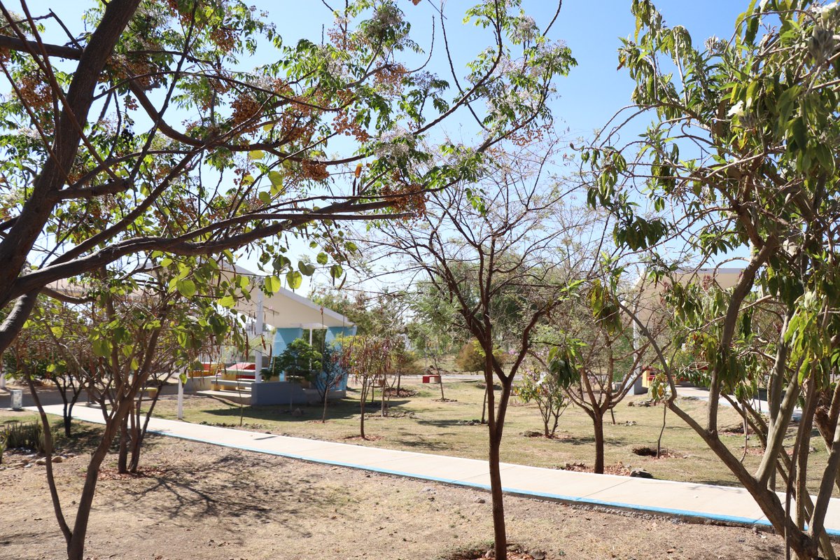 Instituto Municipal de Planeación de León, Gto. tweet media