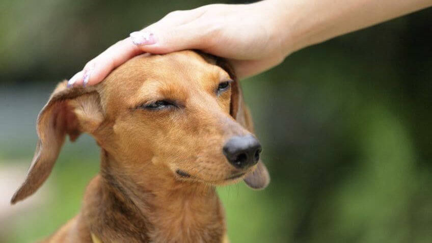 D.F.L.D 🌺🏳️‍🌈 tweet media