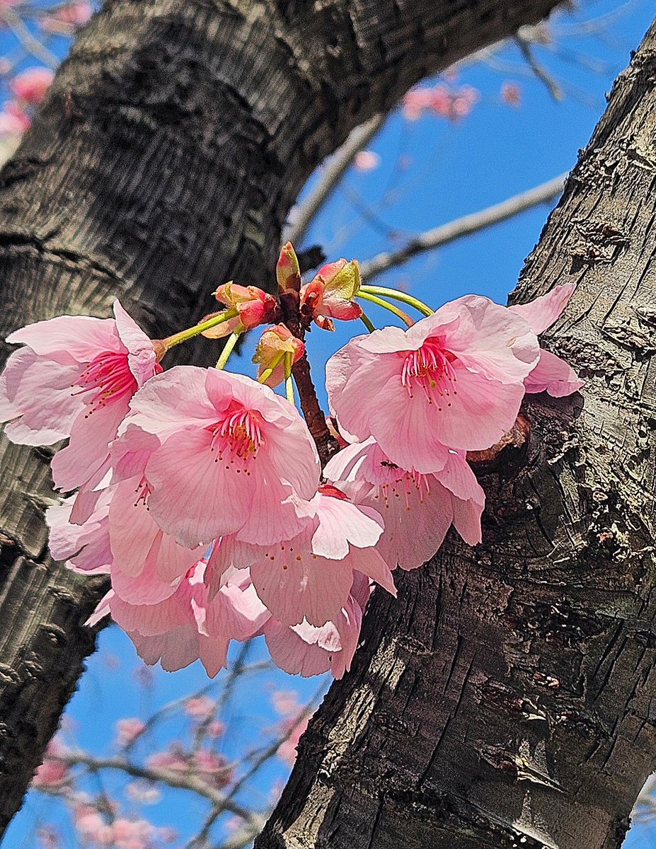 まっちん tweet media