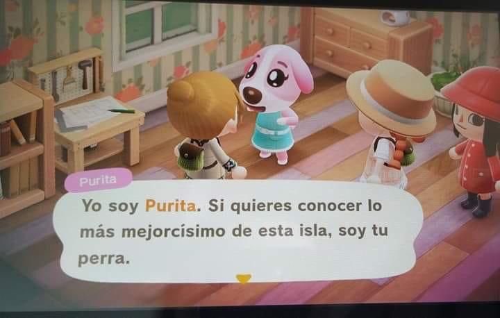 Canelita tweet media