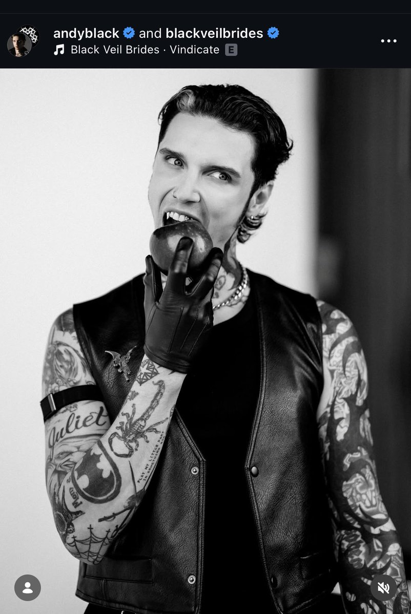 🖤Ali💜✨Missing BVB 🌞🌚✨✨✨ ¥ #RamsHouse💙💛💙 tweet media