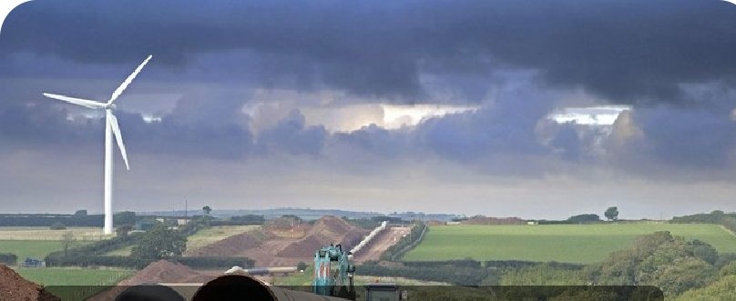 Berenice tweet media