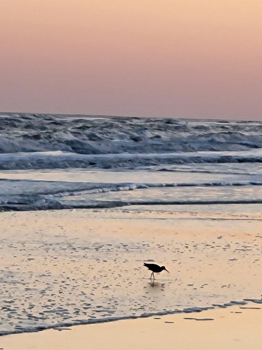 jeff barnes tweet media