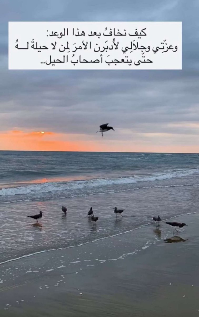 ﻛُنـﺎ ... tweet media