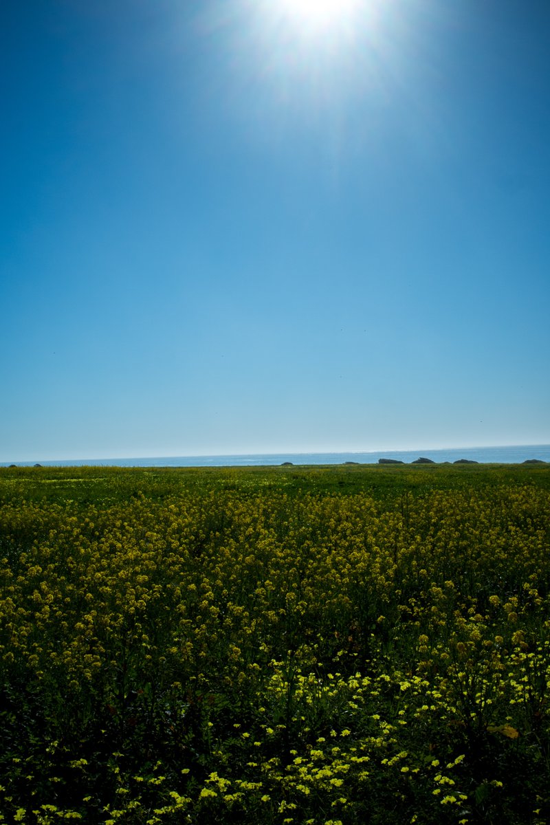 Darren Waller tweet media