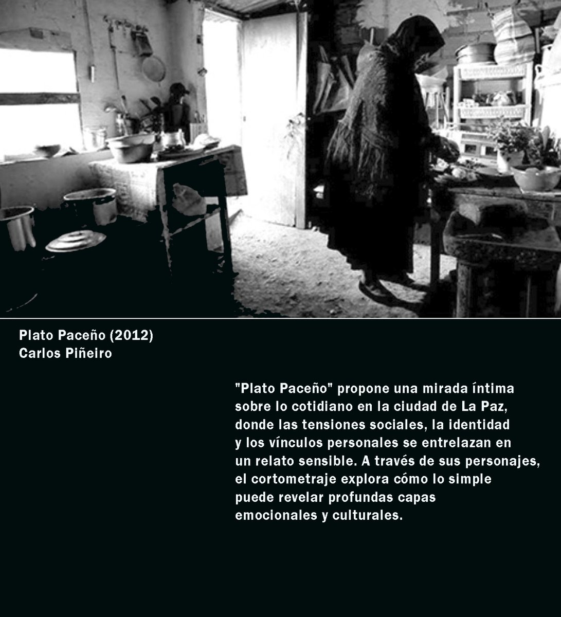 Flaviadas tweet media