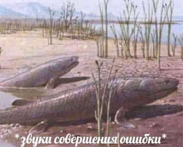 Хлебушек II tweet media