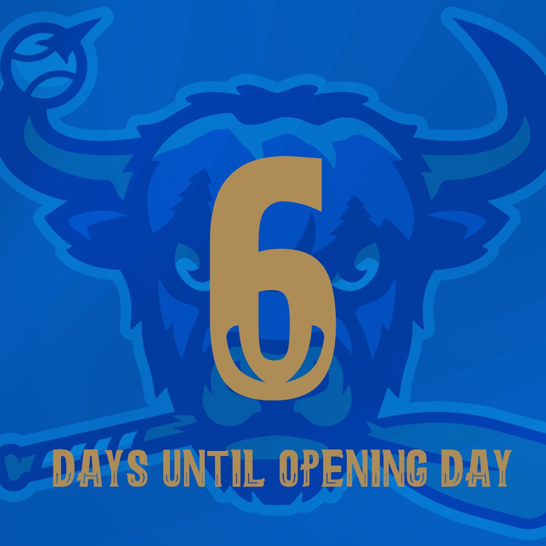 RidgeYaks's tweet image. Can't wait for Opening Day!

#6days

🎟️ : atmilb.com/4lW9IlC