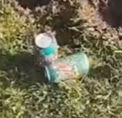 simple face🌲🌞🌲 tweet media