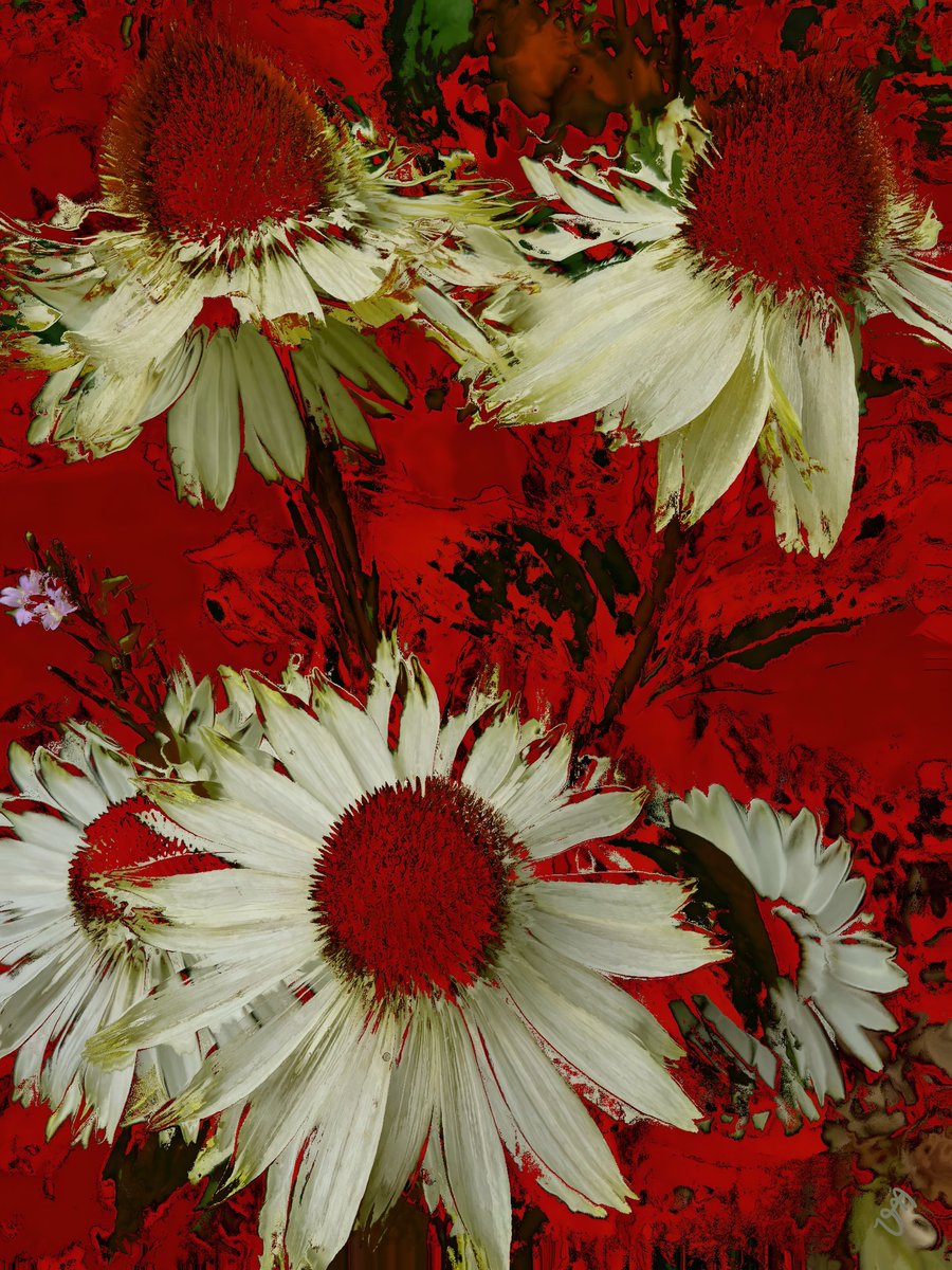 Vanessa VM tweet media