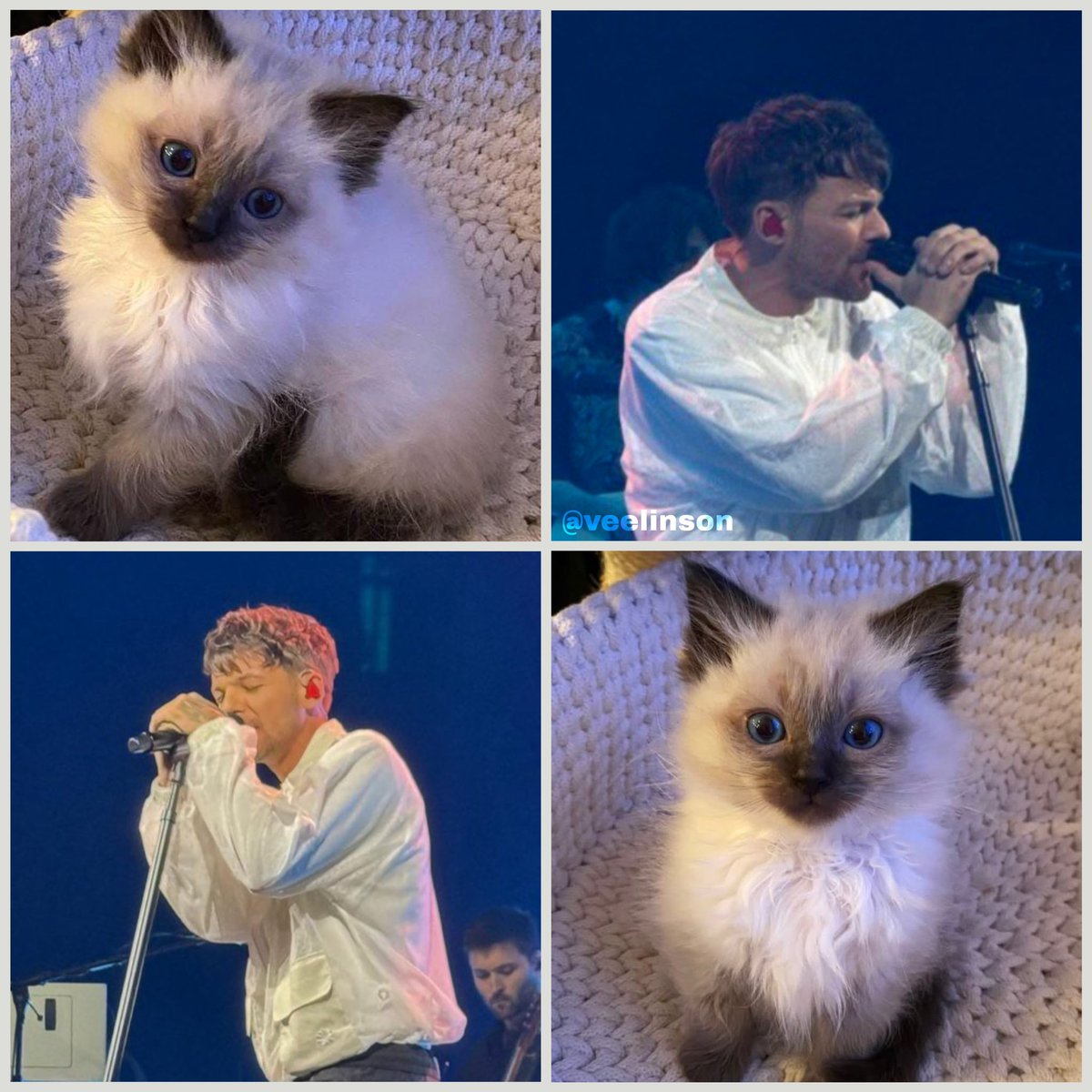 𝚟𝚎𝚎 ⋆☀︎. tweet media