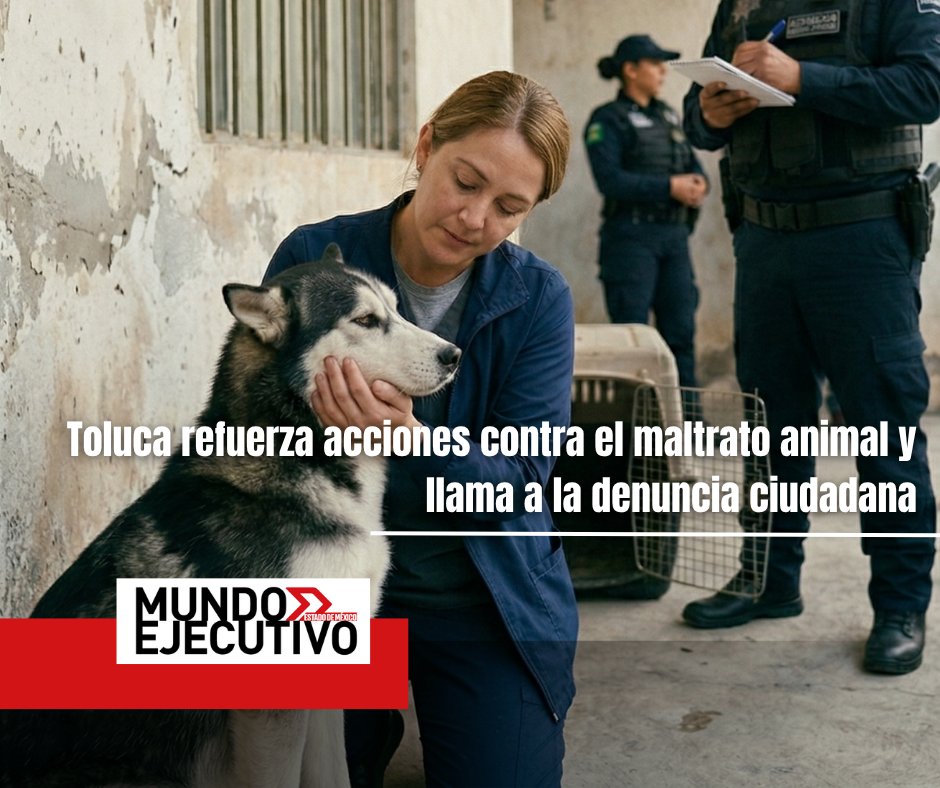 Mundo Ejecutivo Edomex tweet media