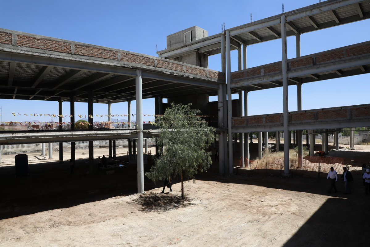 Zoé Robledo tweet media