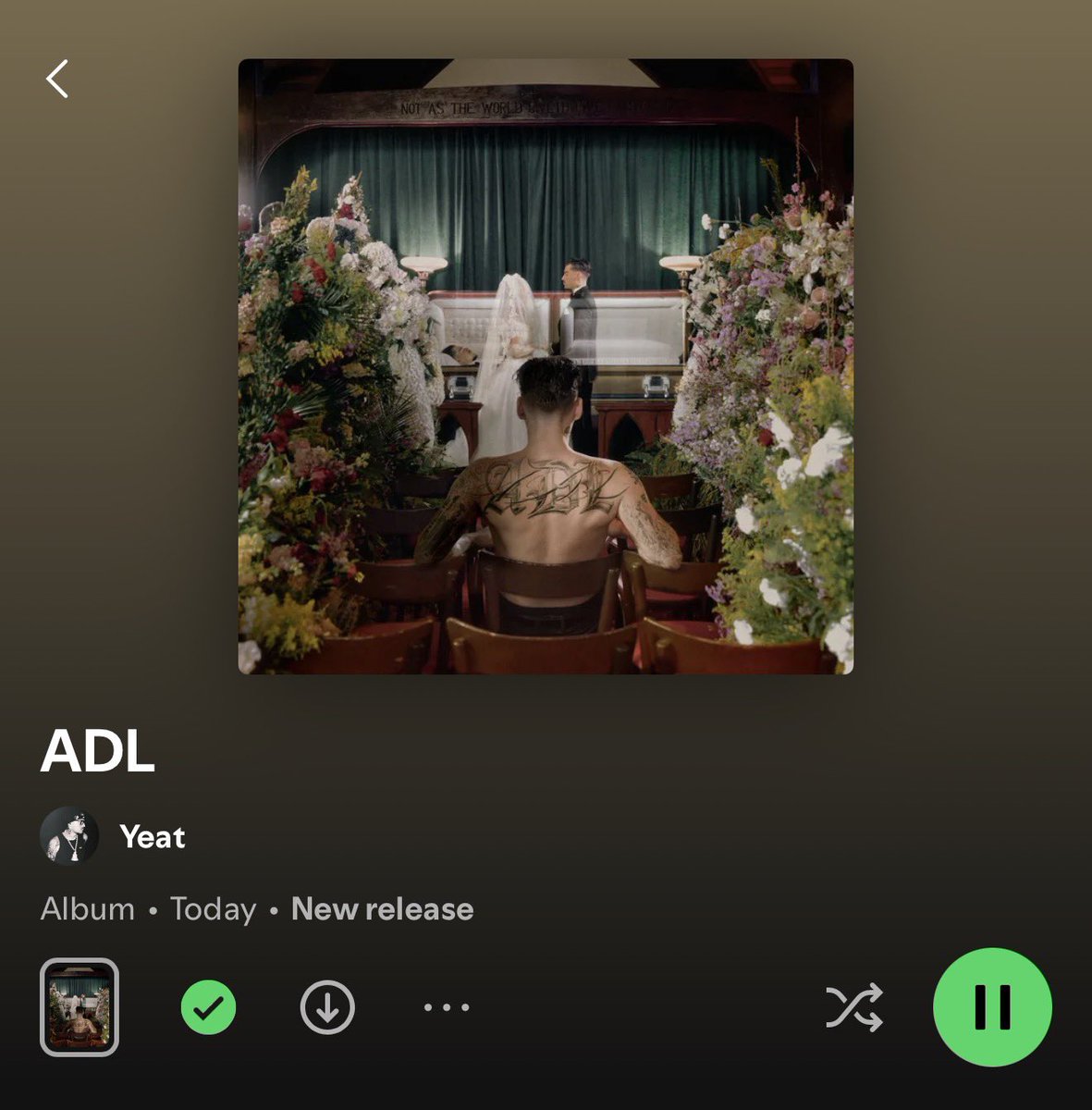 Dobson 🦋 tweet media