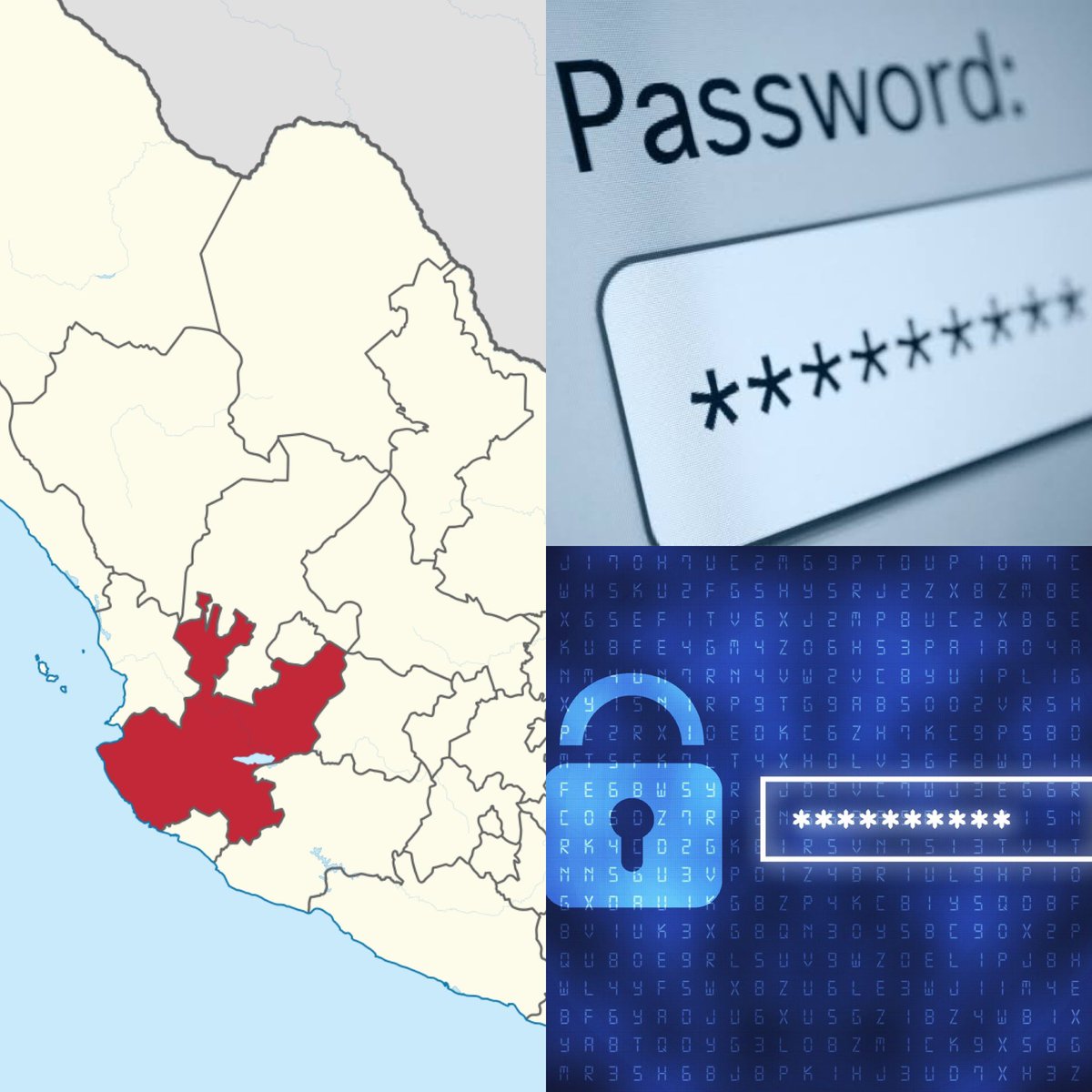 Cerebros tweet media