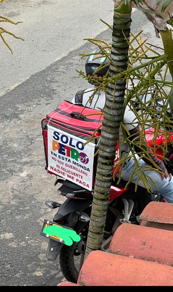 WILMER Pacheco Trujillo tweet media