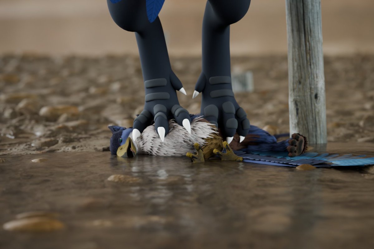 Solwer AD🇵🇱 tweet media