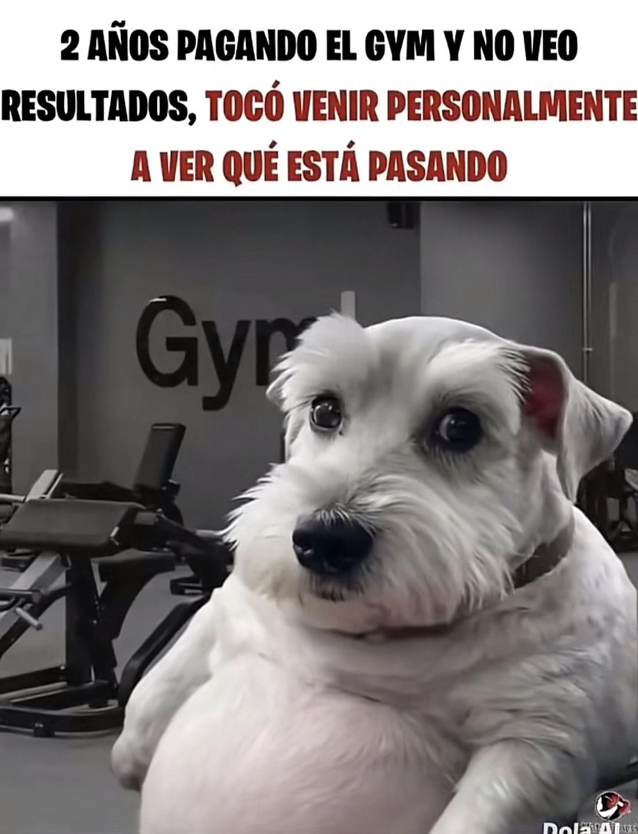 🔆ABRANLOS👀‼️ tweet media