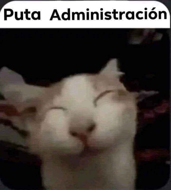 Little Wolfy~ 🐺☕🍁 tweet media