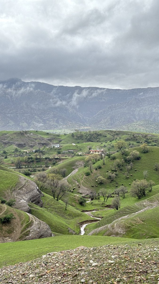 ئەوێن tweet media