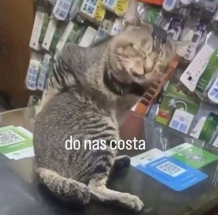 Shitpost só que de verdade tweet media