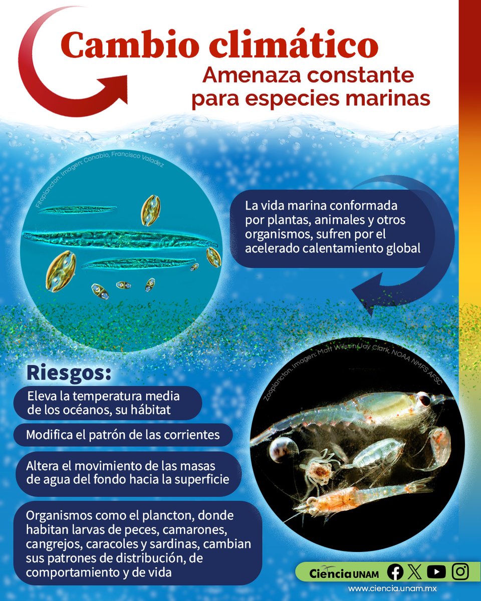 Ciencia UNAM tweet media