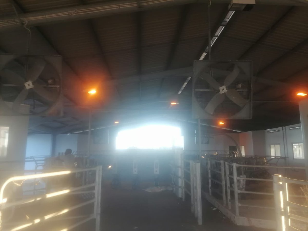 Elijah Ngurare Manongo tweet media