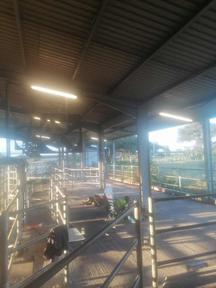 Elijah Ngurare Manongo tweet media