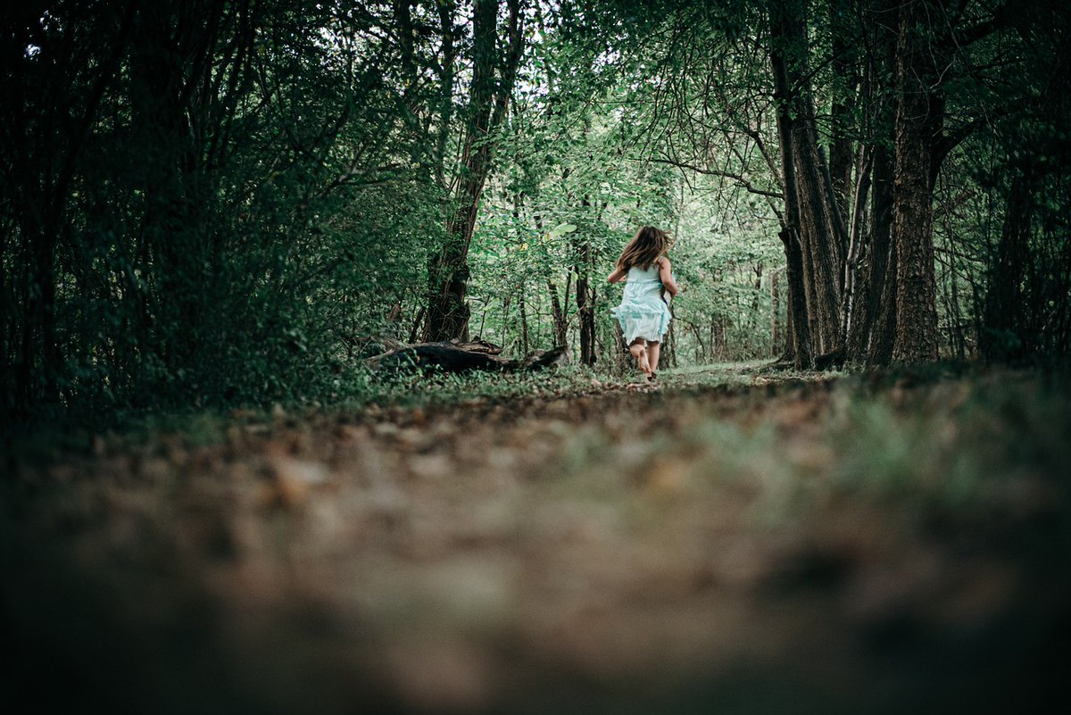 GermanUSAcom's tweet photo. "Waldeinsamkeit" - that feeling of solitude and peace you get walking alone through a forest. Germans have a word for literally everything. What's your favorite German word that doesn't translate to English? https://t.co/O5Ce2ueC4T