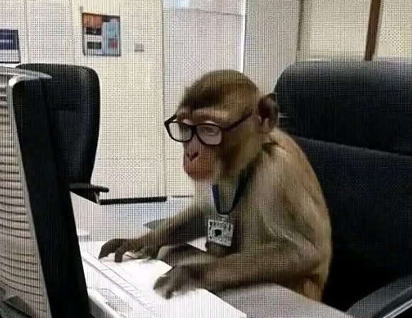 0xGecko tweet media