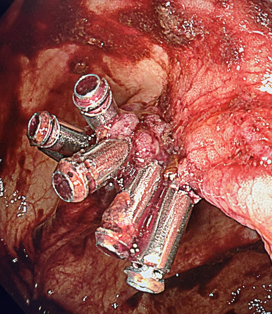 Keith Siau tweet media