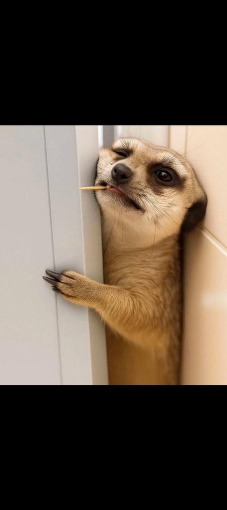 𝔼𝕞𝕞𝕪ℝ𝕒𝕥𝕖🔎 tweet media