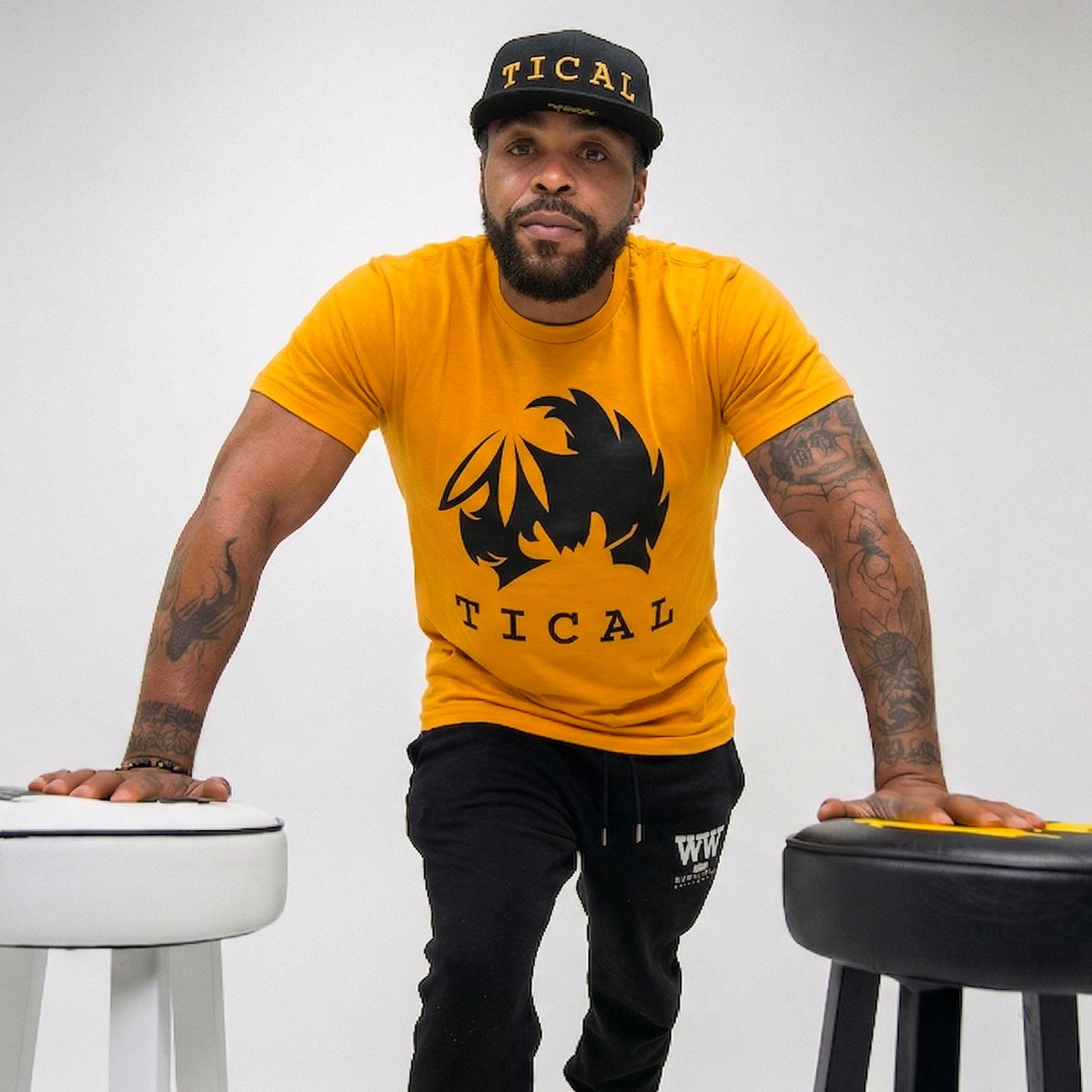 TICAL Official tweet media