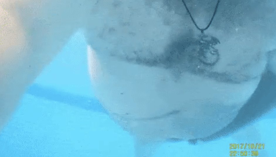 Dieter Wegner-Kinski tweet media