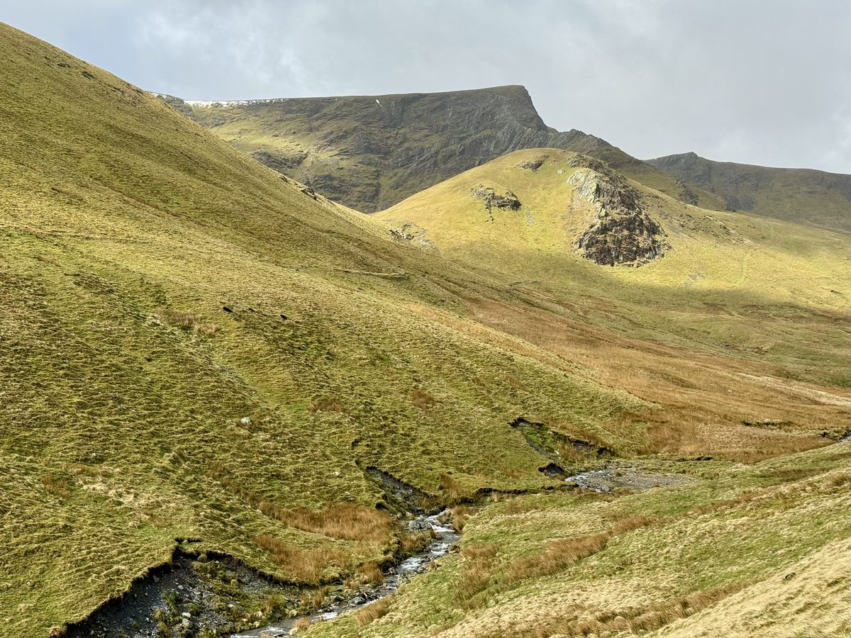 GCS🏴󠁧󠁢󠁳󠁣󠁴󠁿 tweet media