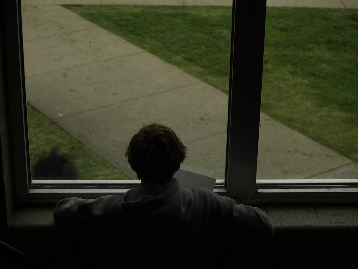 Siegel Digital Arts & Design Program tweet media