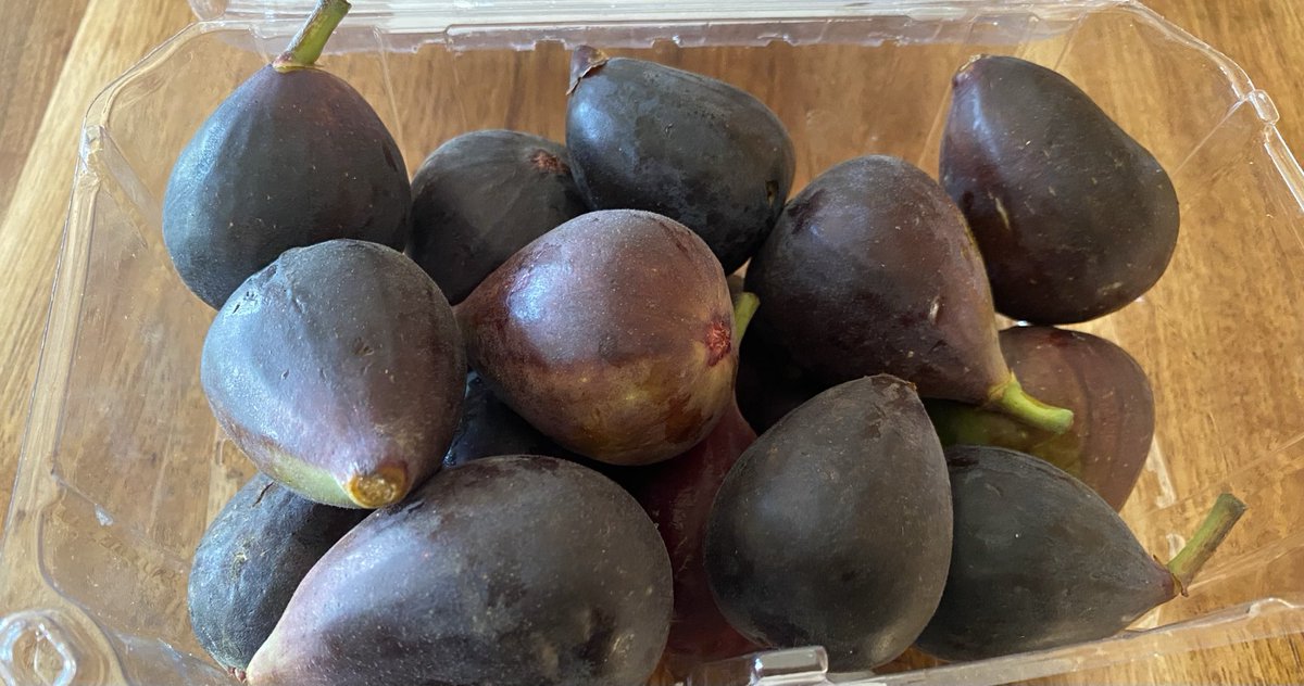 Jacqueline 🇨🇱 🖐️ tweet media