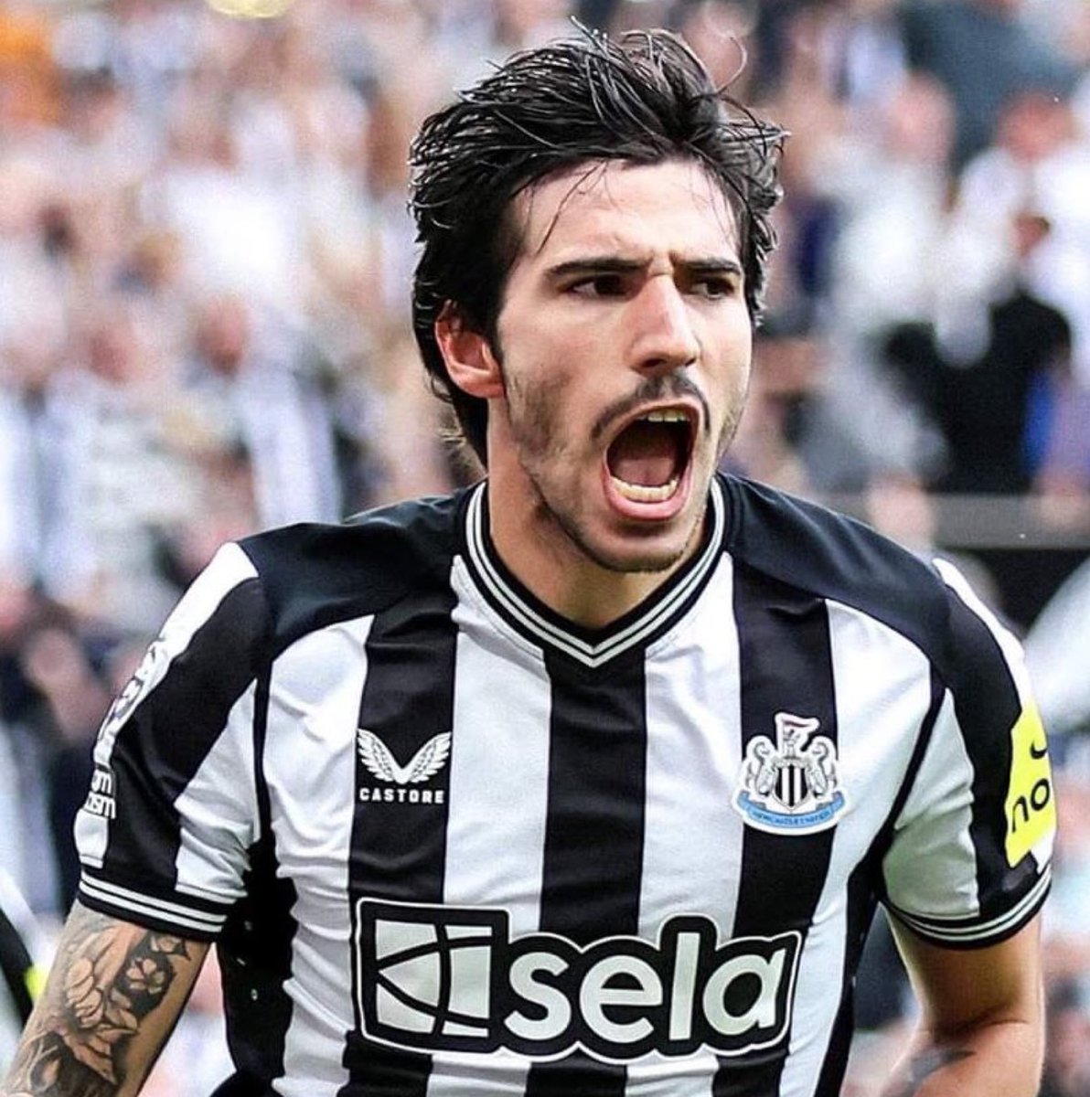 UtdXclusive tweet media